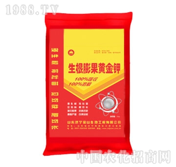 ��ɽ����-��������S���