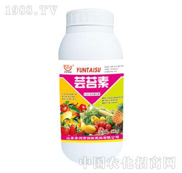 ��(r��n)��-�|̦�أ�ƿ��