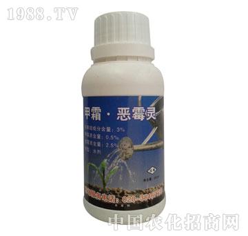 �L�p-��˪��ù�`