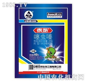 ����-̩��-���x(ch��ng)�