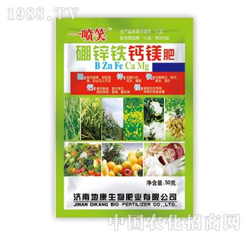 ���\�F�}�V��-һ��Ц-̩�