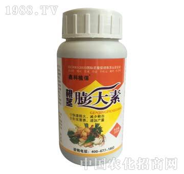 ���o�����-�ο�ֲ��