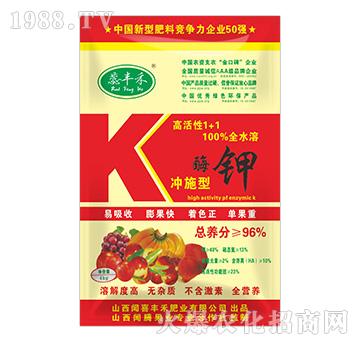 �߻���1+1ø�-���S��