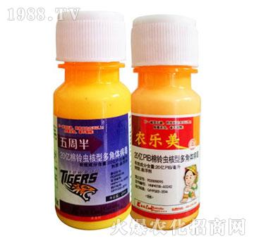 ����x���Ͷ���w����-���ܰ�+�r(n��ng)��(l��)��-�P���