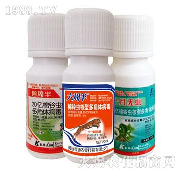 20�|����x���Ͷ���w����-���ܰ�+���ܰ�+һ�o(w��)�x-�P���