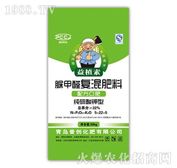 ���ȩ��(f��)�����5-22-5-�Մ�(chu��ng)