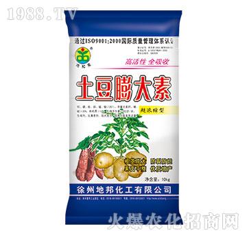 ���������-�ذ�Ȫ