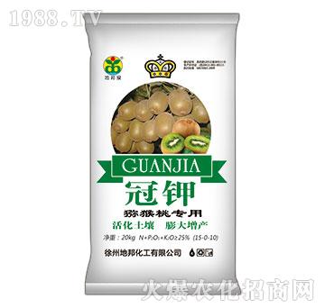 �J���Ҍ���-���-�ذ�Ȫ