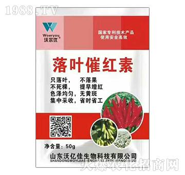 ���~�߼t��-�֠���(y��u)