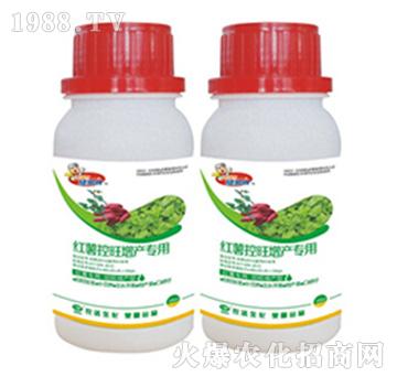 �t���������a����-�r�_����