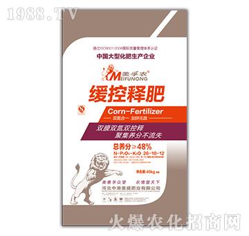 ����ጷ�26-10-12