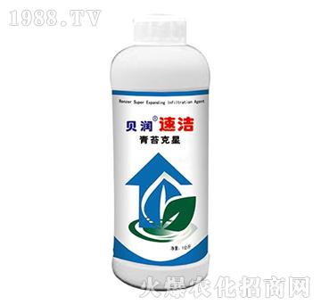 ��̦����-ؐ���ٝ�-ɭ��