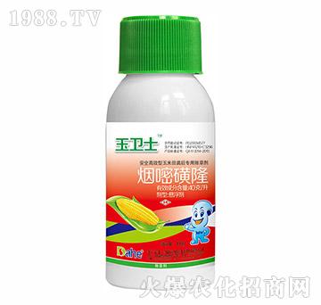 ���׻�¡-���l(w��i)ʿ-�h(yu��n)Ҋ(ji��n)�r(n��ng)�I(y��)