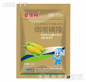 ���׻�¡-�ݽԿ�-�h(yu��n)Ҋ(ji��n)�r(n��ng)�I(y��)