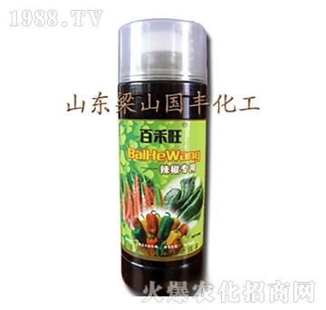 ������(zhu��n)���~���-��ɽ��(gu��)�S