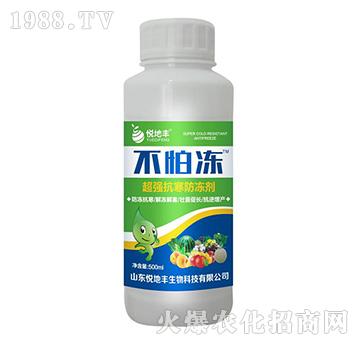 ��������������-����-�����S