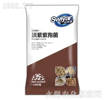 �������߾�-������