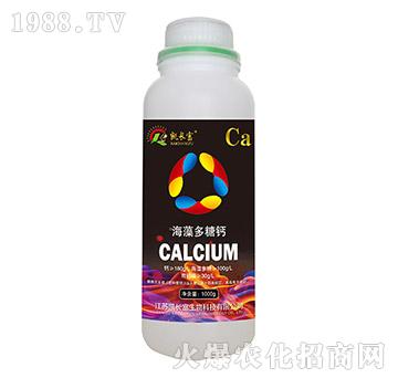 ��������}���ף�-�P�L��