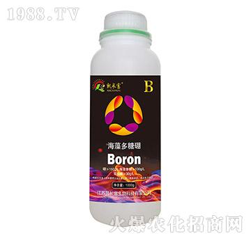 ���������-�P�L��