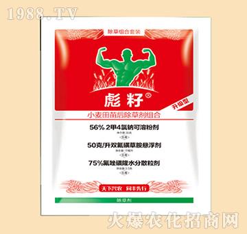 С���������݄��M��-����-ͬ�S