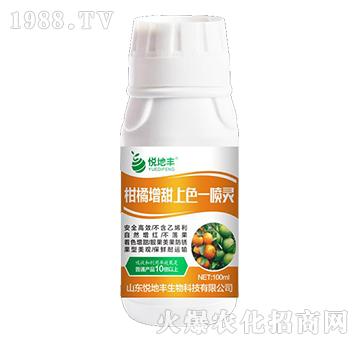 ����������ɫһ���`-�����S