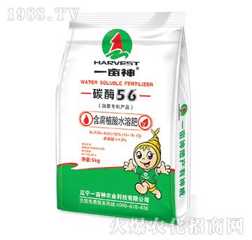 ����ֲ��ˮ�ܷ�19-18-19-̼ø56-һ����