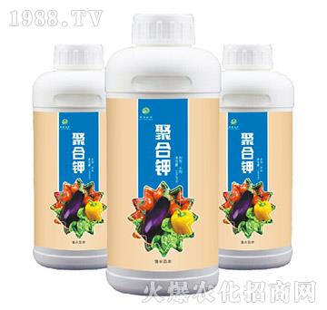 �ۺ��-��(qi��ng)ɭ�r(n��ng)��