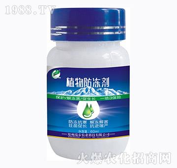 ֲ�������-��̩���