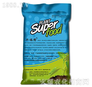 �~���׷���-���º���