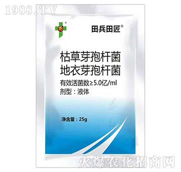 �ݲ�ѿ�ߗU������ѿ�ߗU��-��ϲ