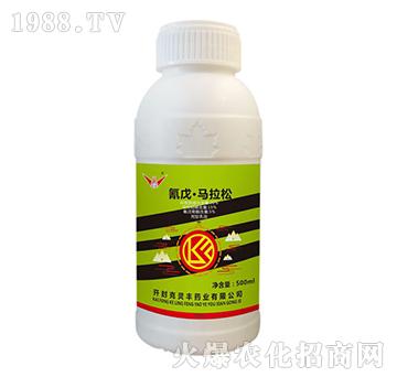 20%���졤�R����-���`�S