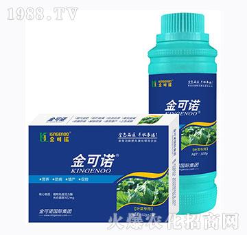 �~�ˌ���-����Z