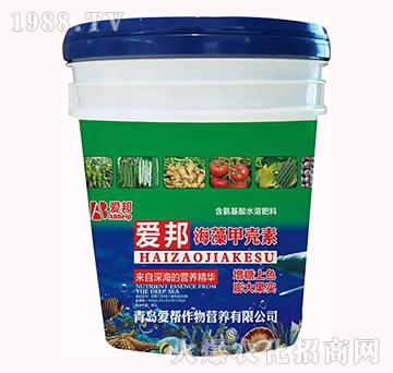 ����ך���-�۰�