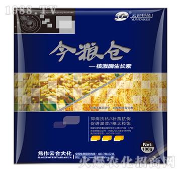 �˼�ø���L��-��Z�}-���_��