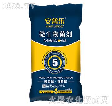 5�|ÿ���S�����ЙC̼΢�������-���՘�-�f�����B(t��i)