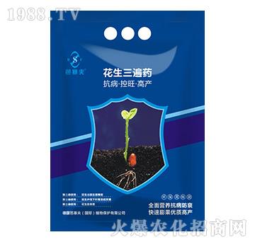 ��������ˎ-������