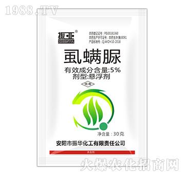 5%ʭ����-���A����