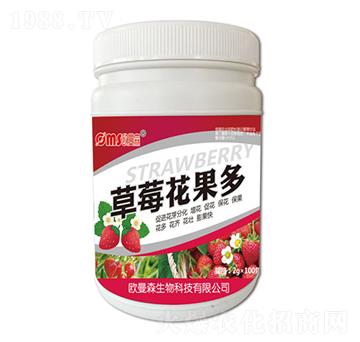 ��ݮ������-�W��ɭ