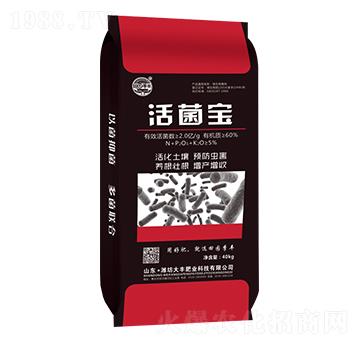 �����-��@���S-���S�ʘI(y��)