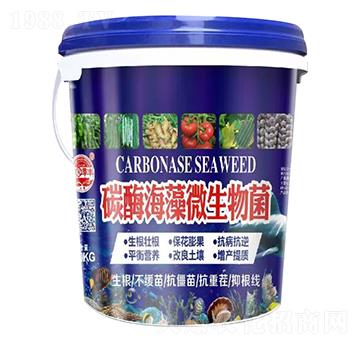 ̼������΢�����-��@���S-���S�ʘI(y��)