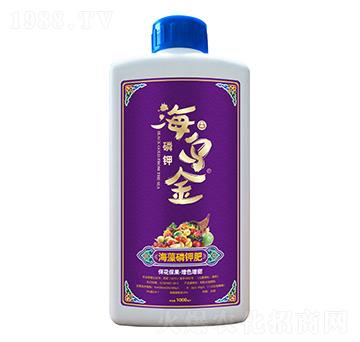 ������⛷�-������-��������