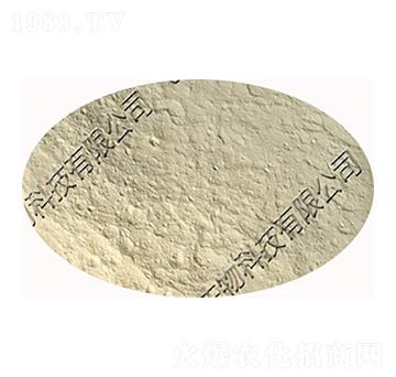 �z�����ѿ�ߗU�����z�|(zh��)ѿ�ߗU����-�������