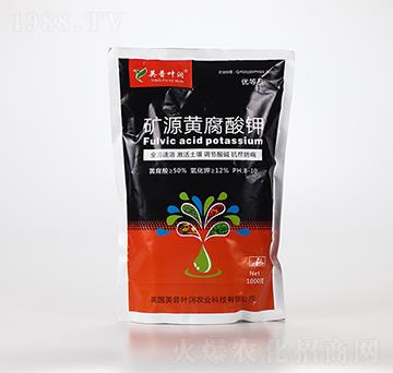 �VԴ�S�����-Ӣ���~��