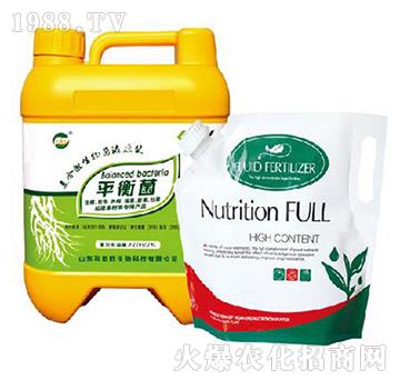 �ͺ�΢�����Һԭ�{-����������