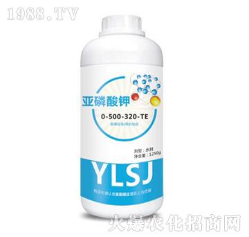 �������0-500-320-TE-�T�_(d��)