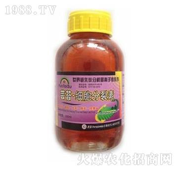 �|̦��(x��)��������-��?t��ng)����? width=