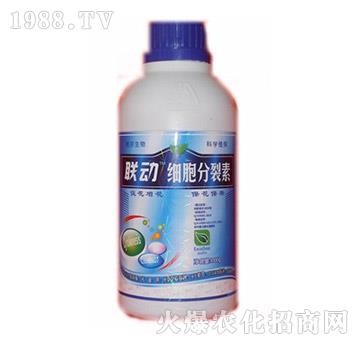 ��(x��)��������-(li��n)��(d��ng)-��?t��ng)����? width=