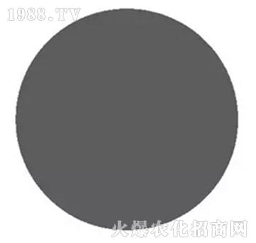 �S�����}�V-��΢