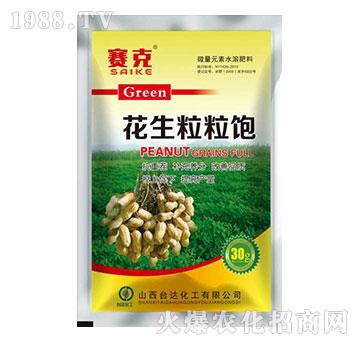 ���������-ِ��-�_�_