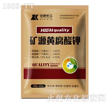 �VԴ�S�����-�пƻ���